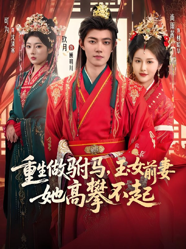 重生做驸马，玉女前妻她高攀不起封面图