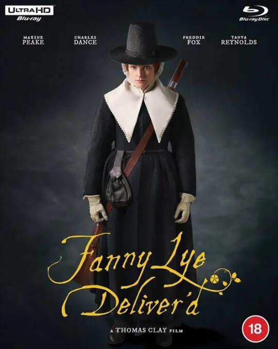 范妮·莱的解救封面图