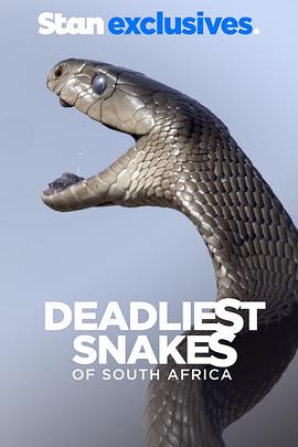南非致命毒蛇封面图