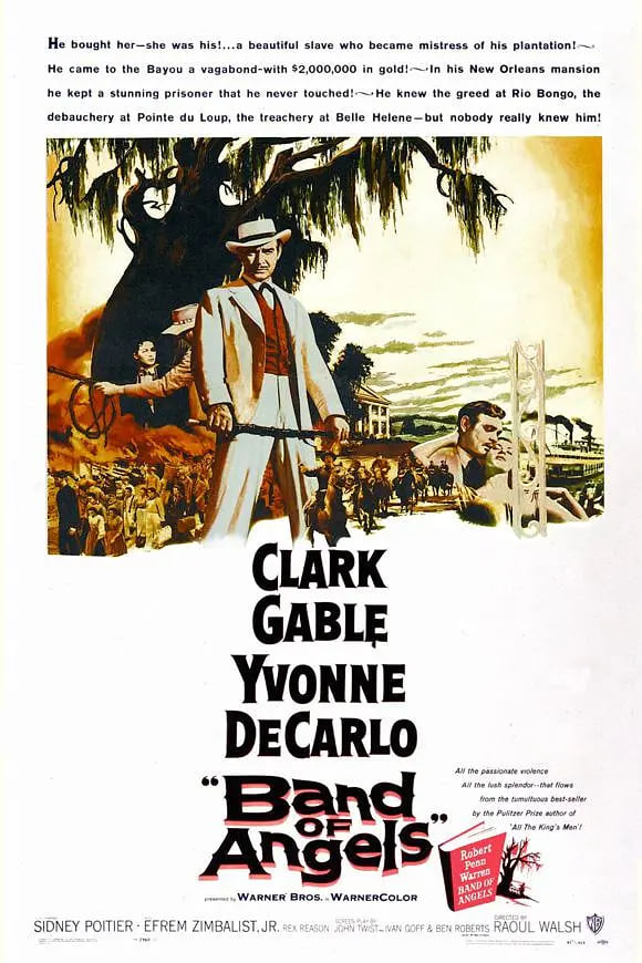 金汉艳奴封面图