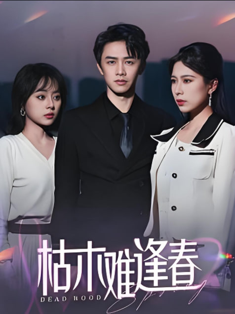 枯木难逢春封面图