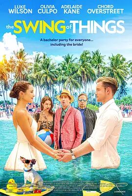 事物的摆动封面图