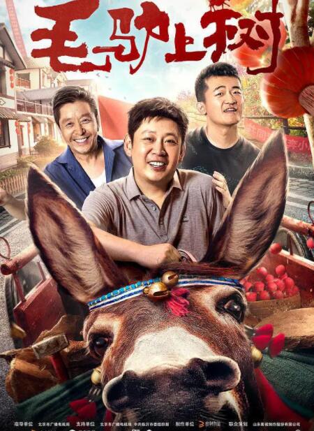 毛驴上树封面图