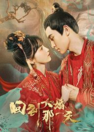 回到大婚那一天封面图