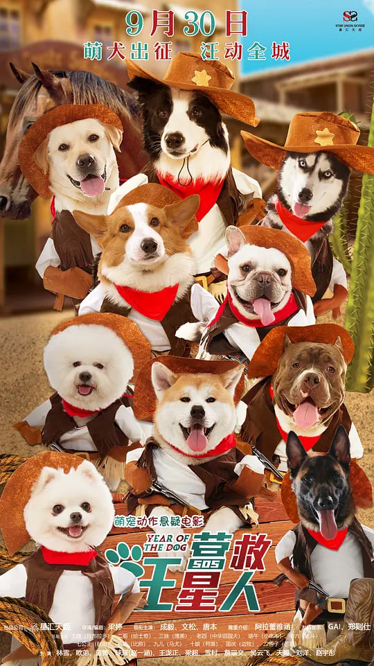 营救汪星人封面图