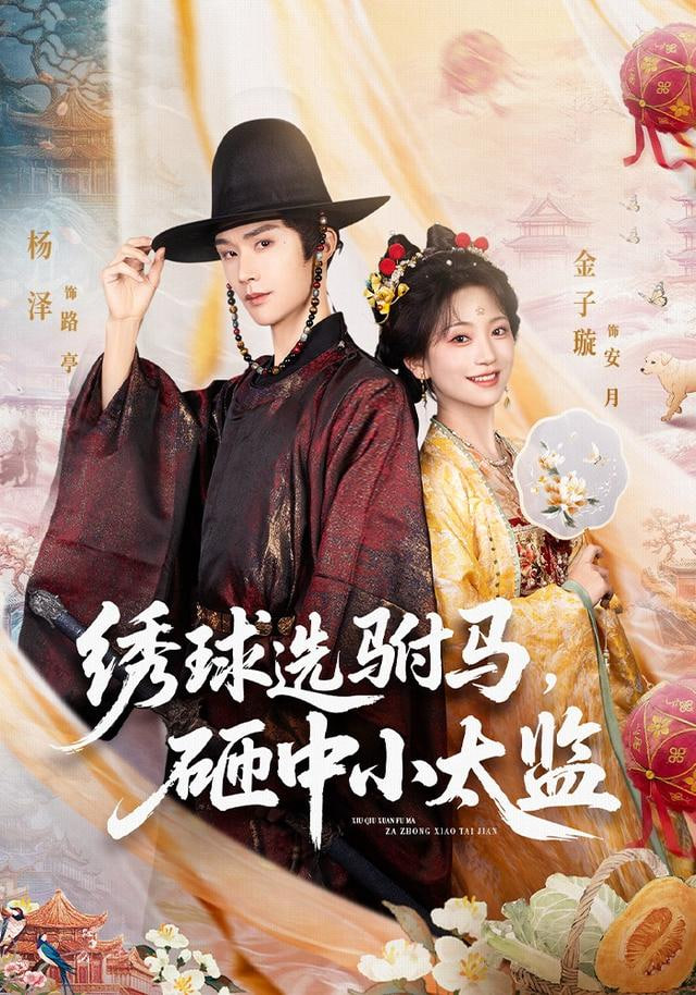 绣球选驸马，砸中小太监封面图