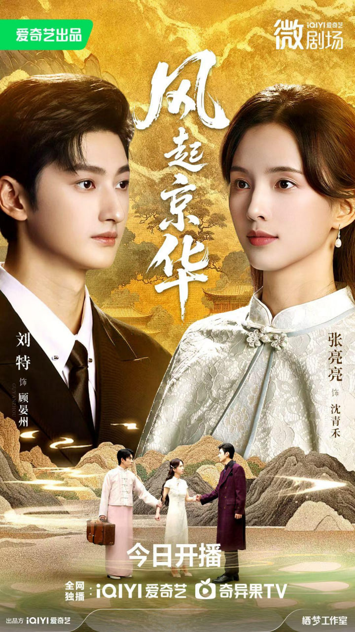 风起京华封面图