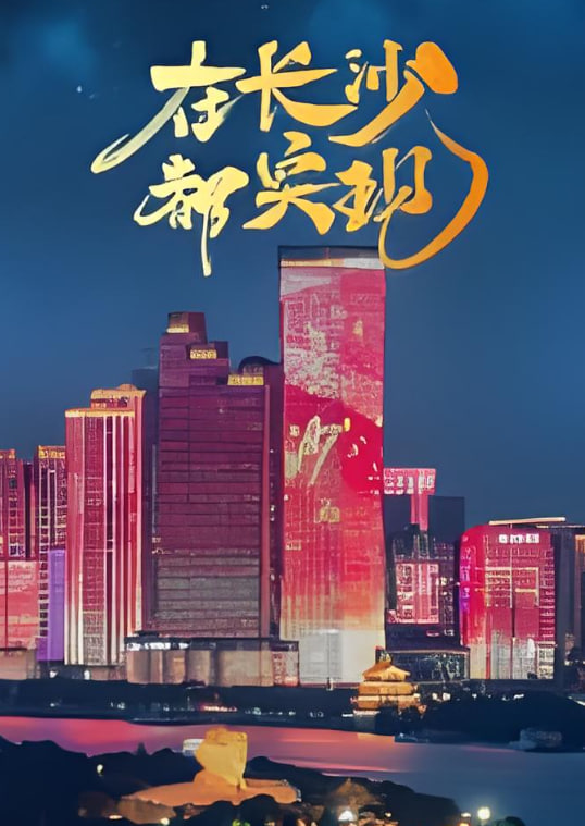 在长沙都实现封面图