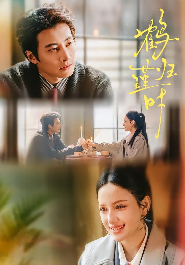 鹤归瑾时封面图